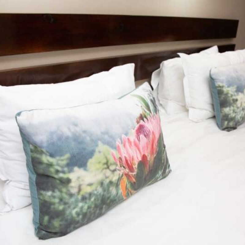 room 11 (1)